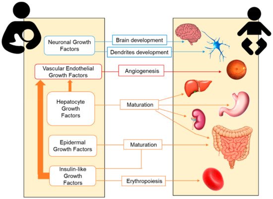 Nutrients 11 01307 g001 550