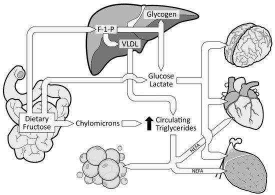 Nutrients 11 01006 g002 550