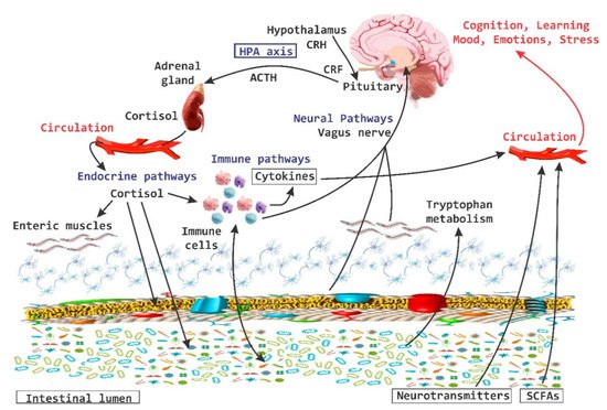 Nutrients 11 00890 g002 550