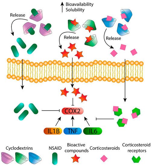 Biomolecules 11 01384 g001 550