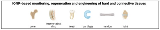 Nanomaterials 11 02337 g004 550