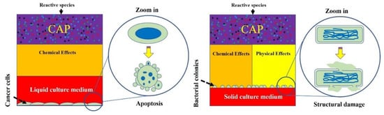 Biomedicines 09 01259 g010 550