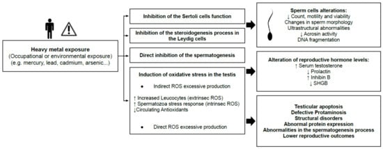 Antioxidants 10 01473 g003 550