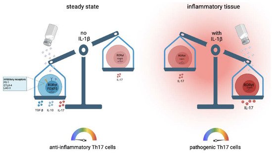 Cells 10 02365 g002 550