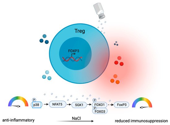 Cells 10 02365 g003 550