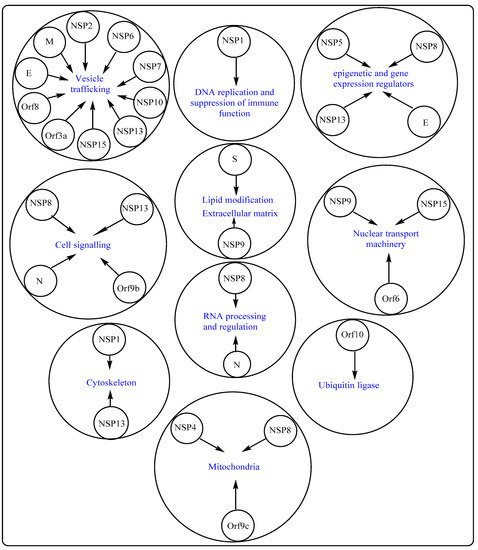 Cells 10 02427 g002 550