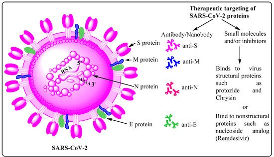 Cells 10 02427 g003 550