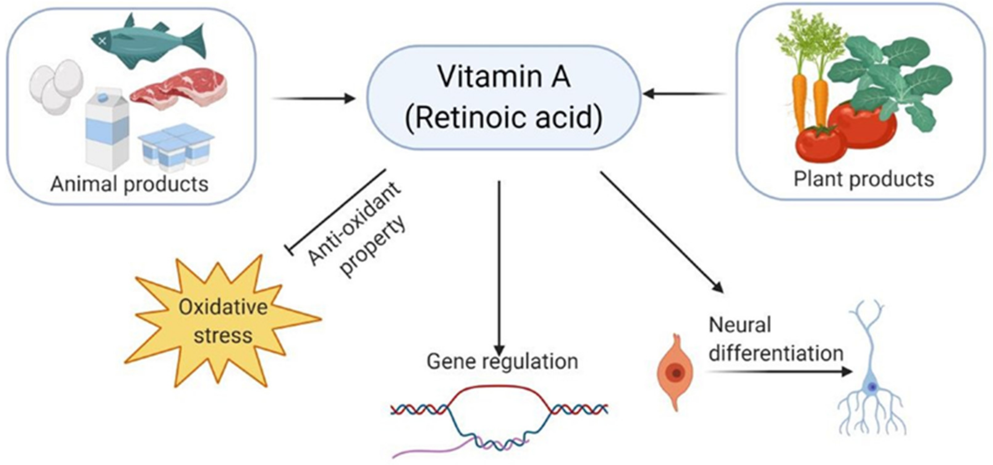 Biomedicines 09 01284 g001