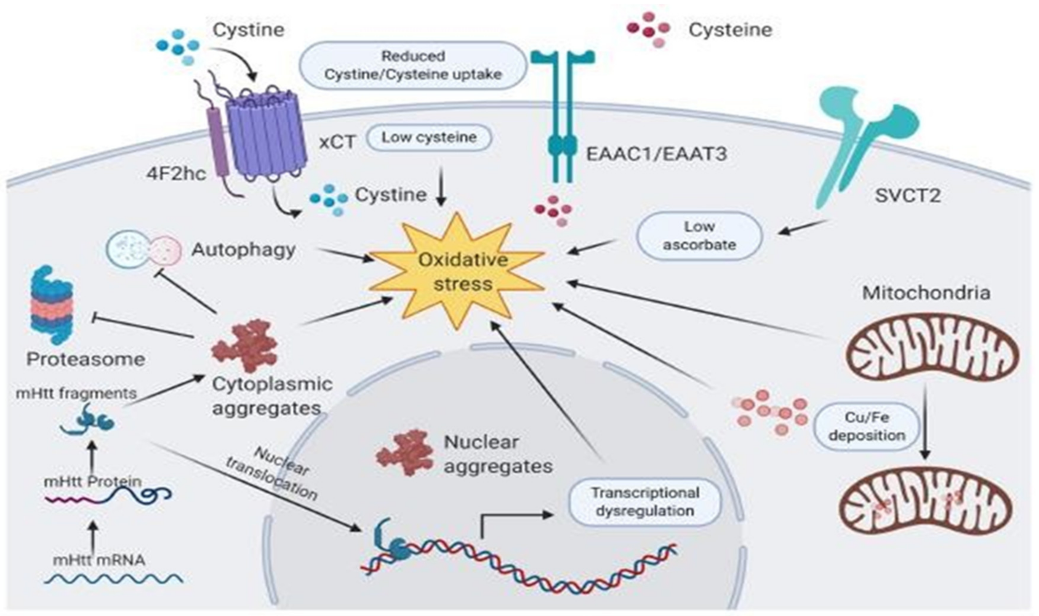 Biomedicines 09 01284 g004