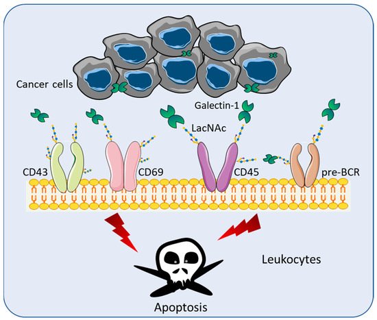 Biomolecules 11 01398 g001 550