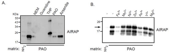 Biomolecules 11 01317 g001 550