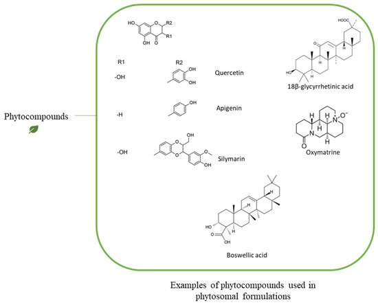 Pharmaceutics 13 01475 g005 550