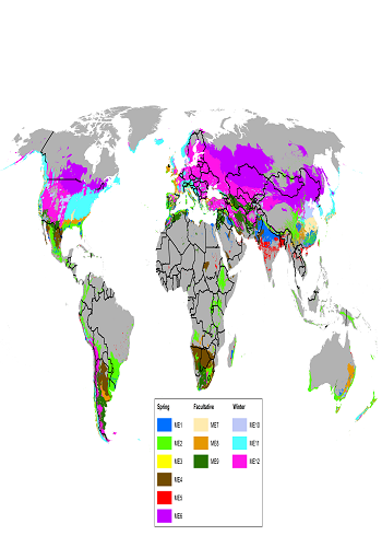 Figure 1; CIMMYT wheat production and breeding mega-environments (MEs) adapted from (Braun et al. 2010), by Kai Sonder