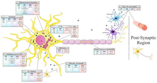 Cells 10 02438 g001 550