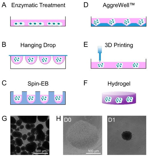 Cells 09 02270 g001 550