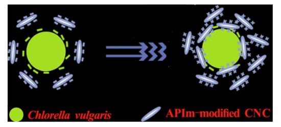 Polymers 13 03249 g008 550