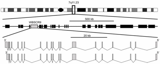 Genes 12 01541 g001 550