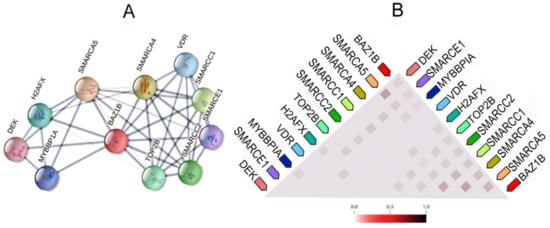 Genes 12 01541 g003 550