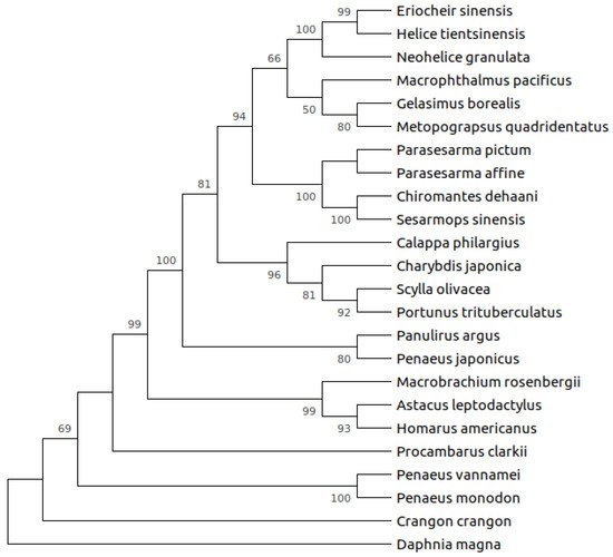 Biology 10 00947 g001 550