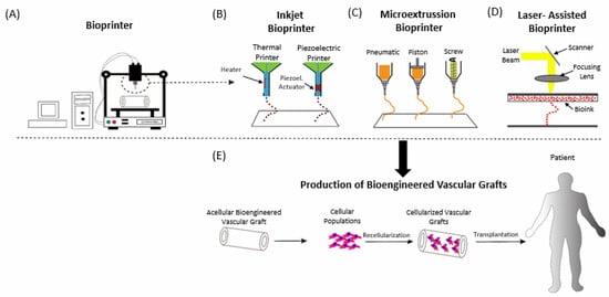 Bioengineering 08 00133 g001 550