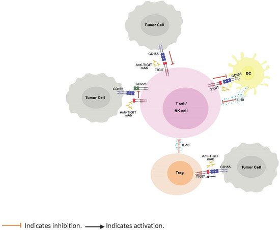 Biomedicines 09 01277 g001 550