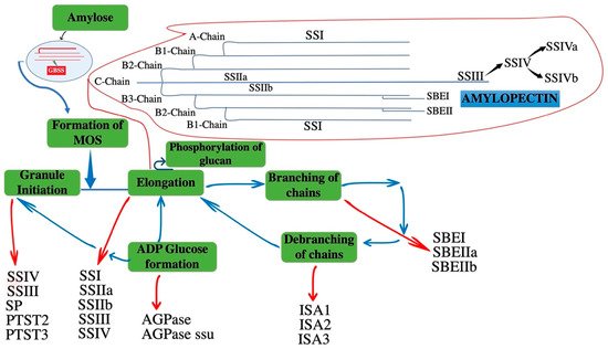 Agronomy 11 01983 g001 550