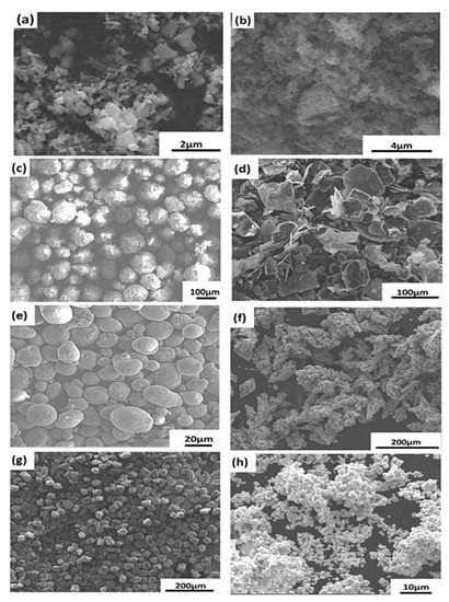 Polymers 13 03337 g009 550