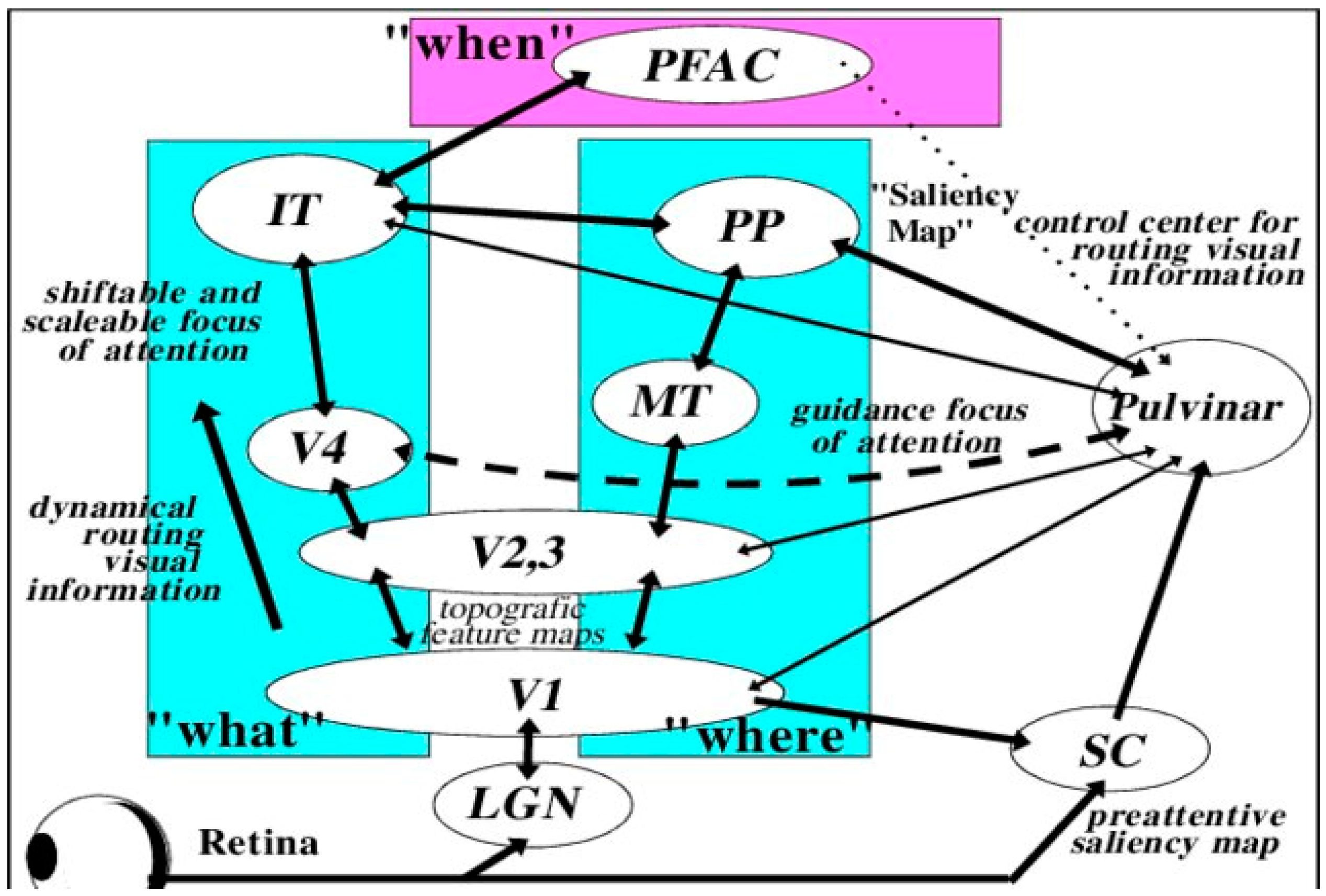 Brainsci 11 01279 g002