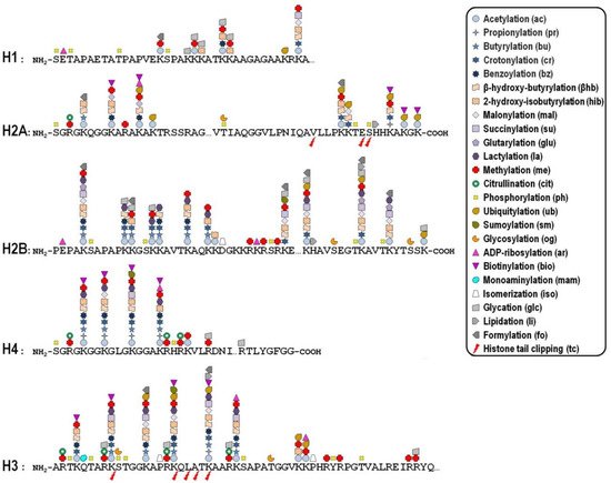 Genes 12 01596 g001 550