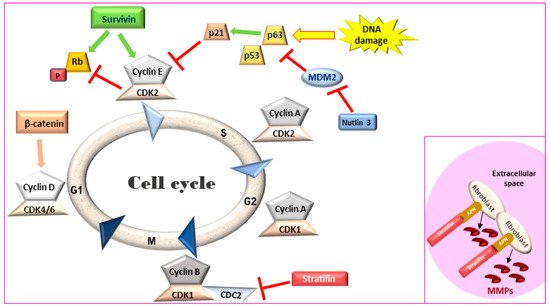 Biomedicines 09 01472 g001 550