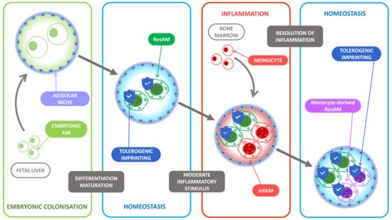 Cells 10 02720 g001 550