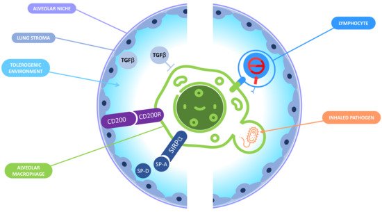 Cells 10 02720 g002 550