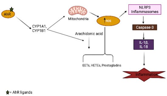 Cells 10 02729 g002 550