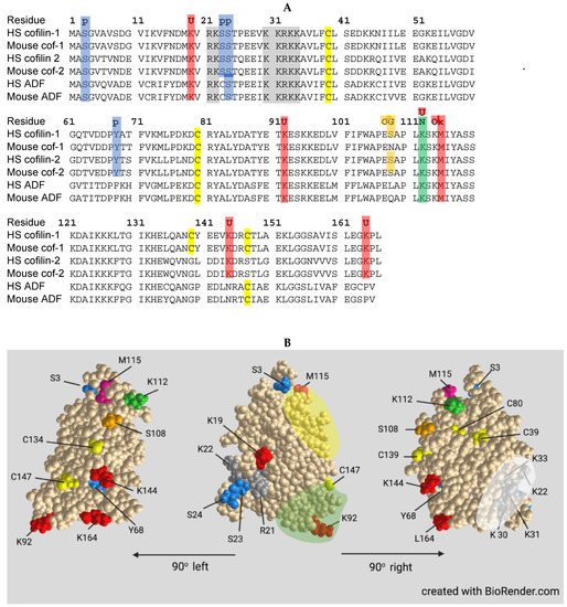 Cells 10 02726 g004 550