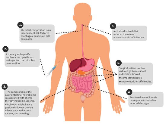 Biomedicines 09 01305 g001 550