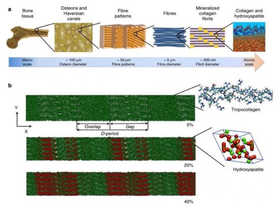 Biomolecules 11 01564 g001 550