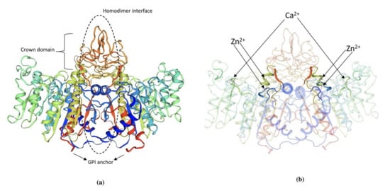 Biomolecules 11 01564 g002 550