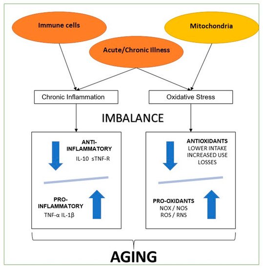 Endocrines 02 00034 g001 550