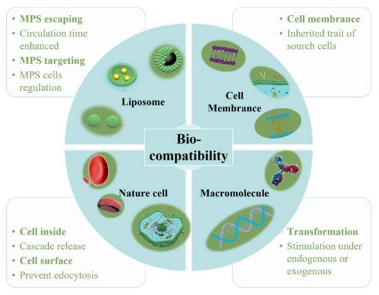 Nanomaterials 11 02790 g001 550