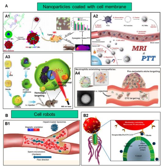 Nanomaterials 11 02790 g002 550