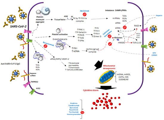 Biomolecules 11 01550 g001 550