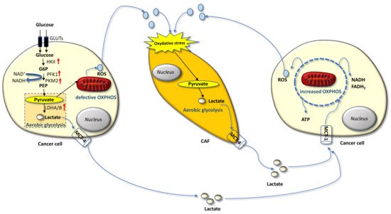 Endocrines 02 00038 g001 550