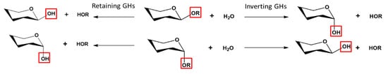 Biomolecules 11 01557 g001 550