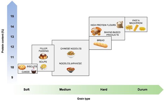 Foods 10 02124 g004 550