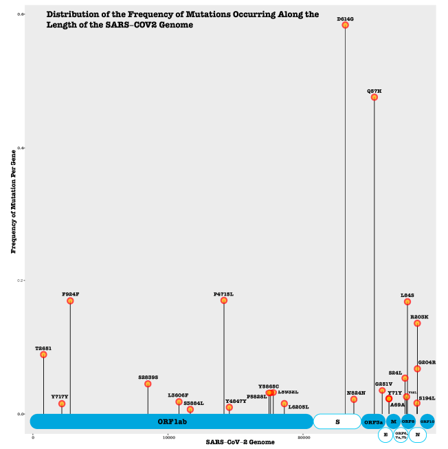 sars cov 2 protein mutations