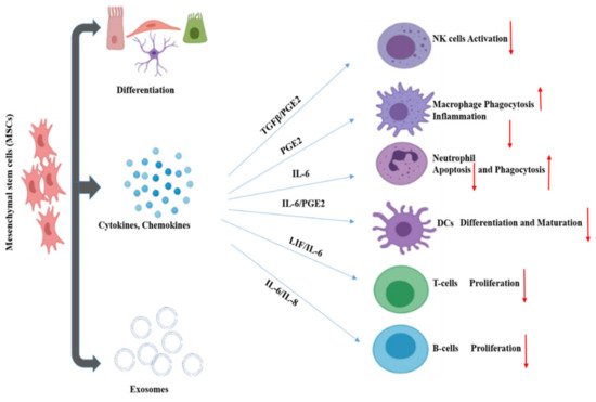 Cells 10 02878 g002 550