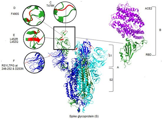 Microorganisms 09 02167 g002 550