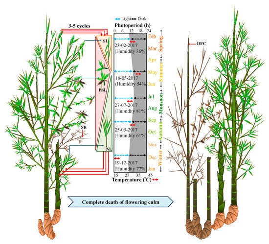 Plants 10 02375 g002 550