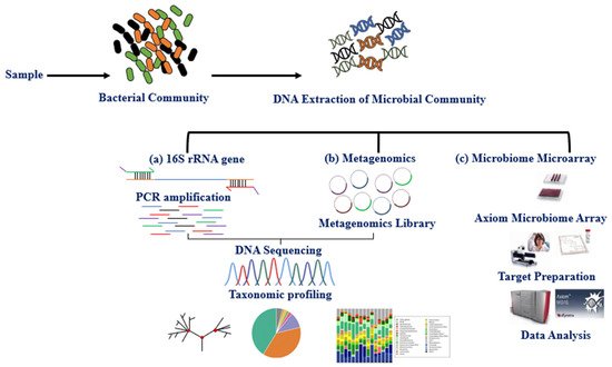 Metabolites 11 00758 g001 550