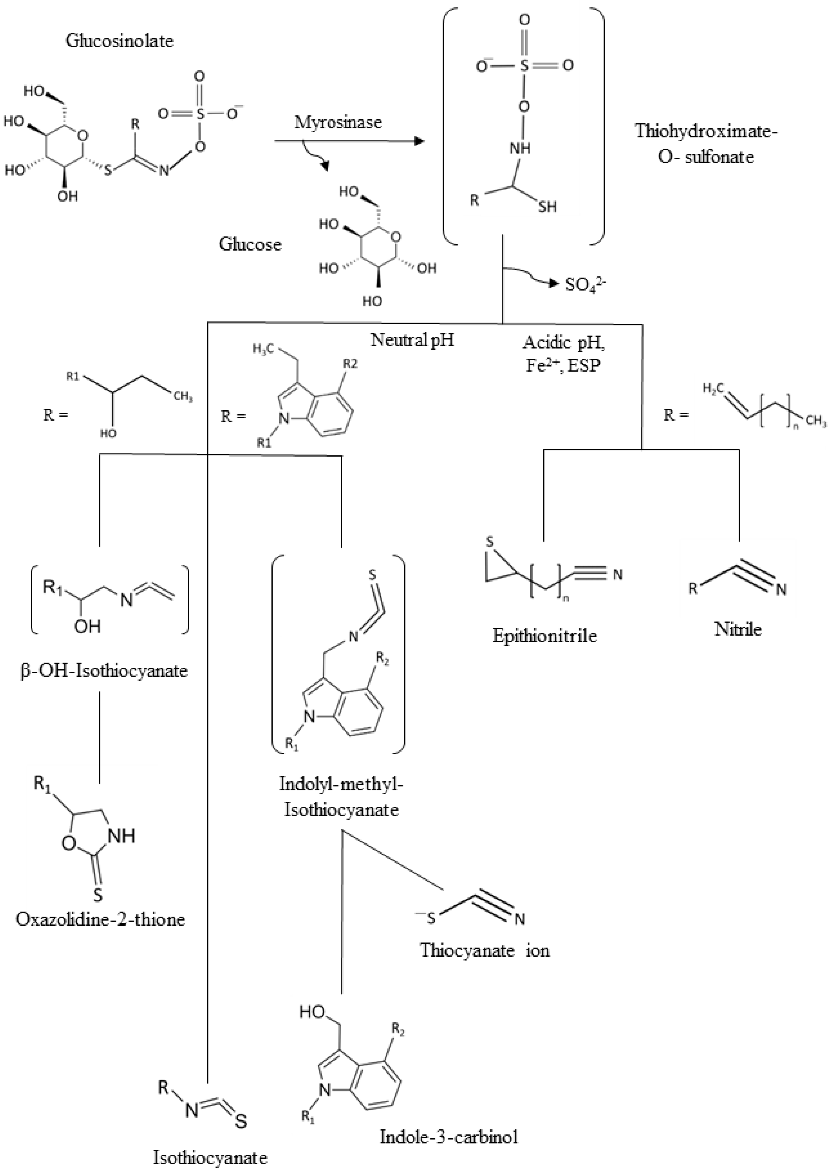 /media/item_content/202111/618dc77b5385bmolecules-25-01591-g001.png